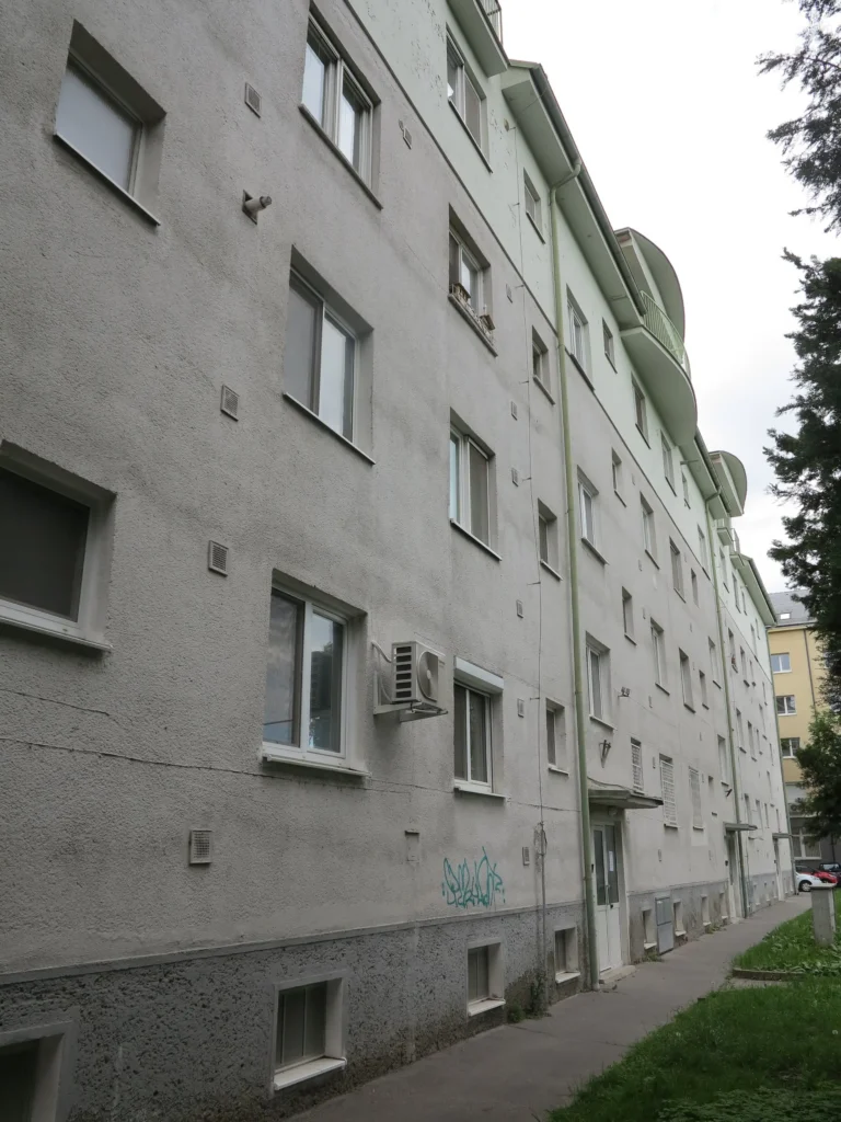 IMG_0397